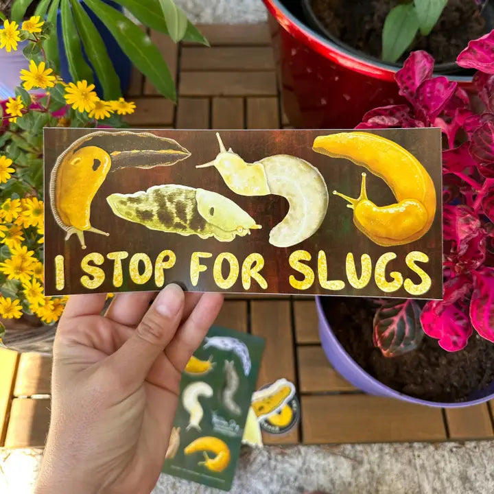 I Stop For Slugs Bumper Sticker (Vinyl)