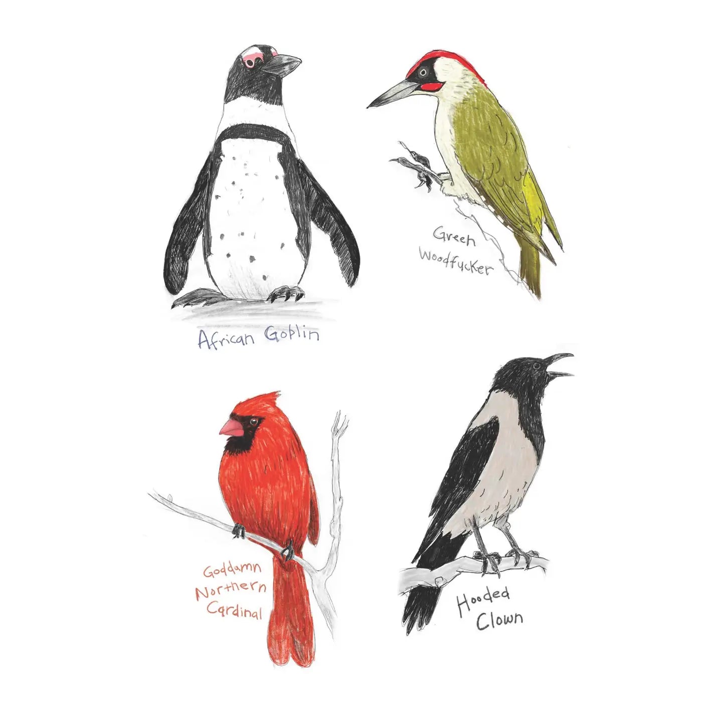 Field Guide To Dumb Birds Sticker Book