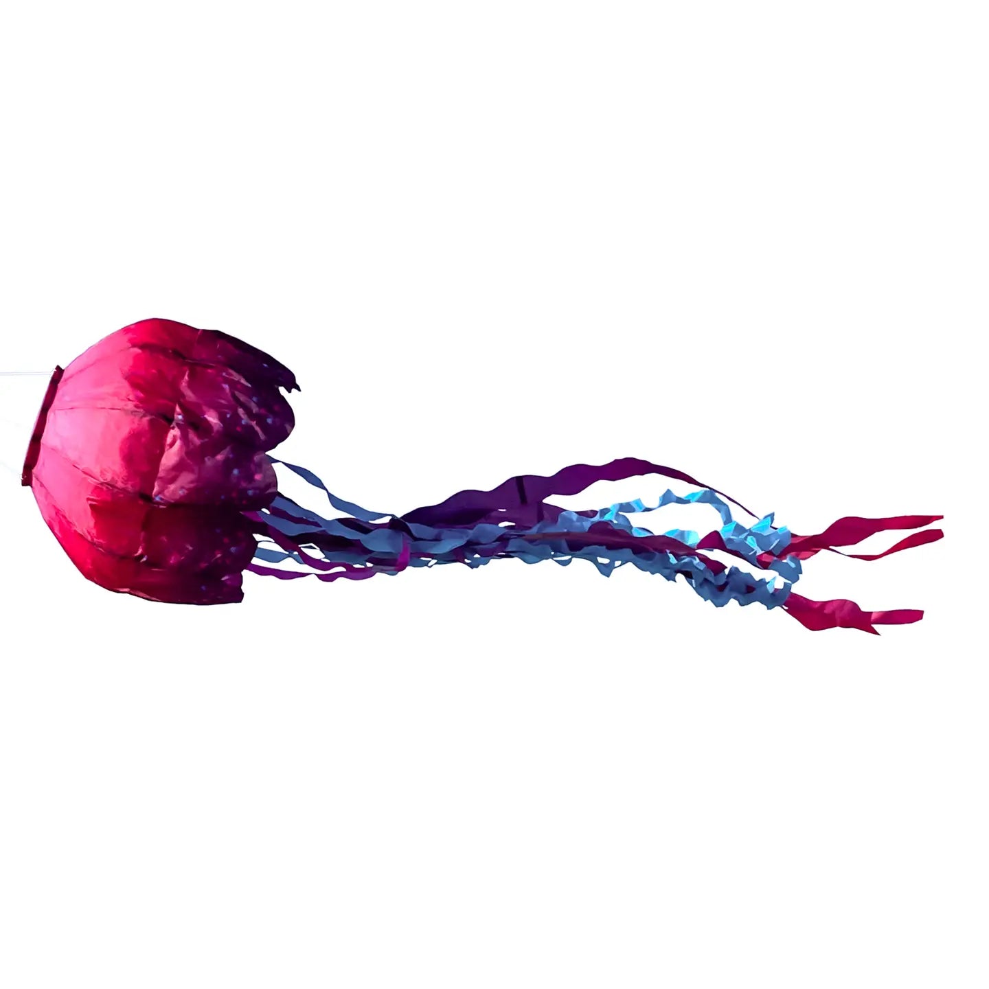 Jellyfish Big Breeze Windsock Kite