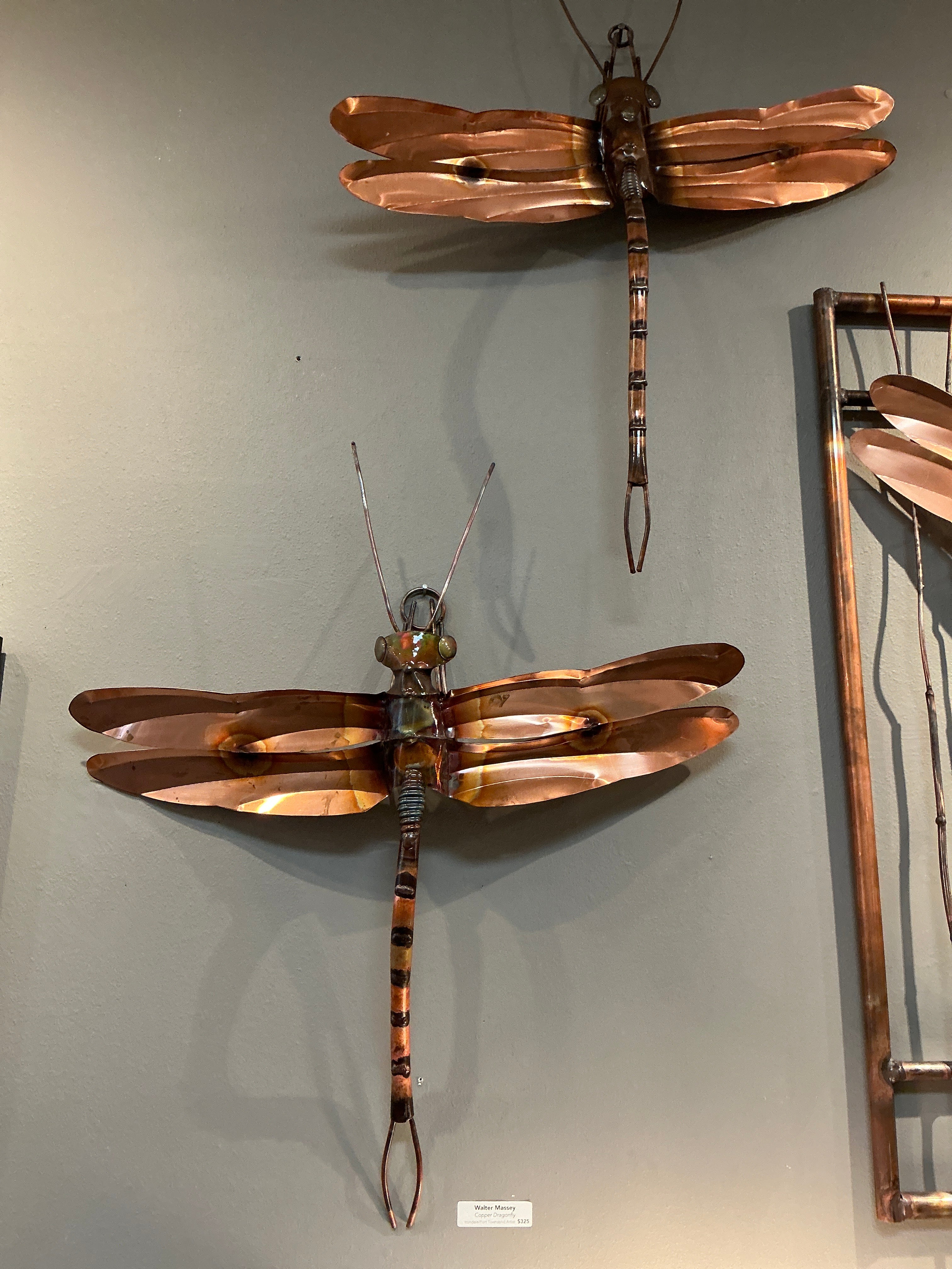 Large Dragonfly by Walter Massey