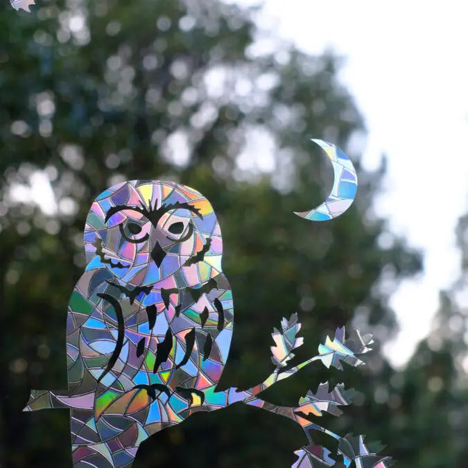 Saw-Whet Owl Window Gem