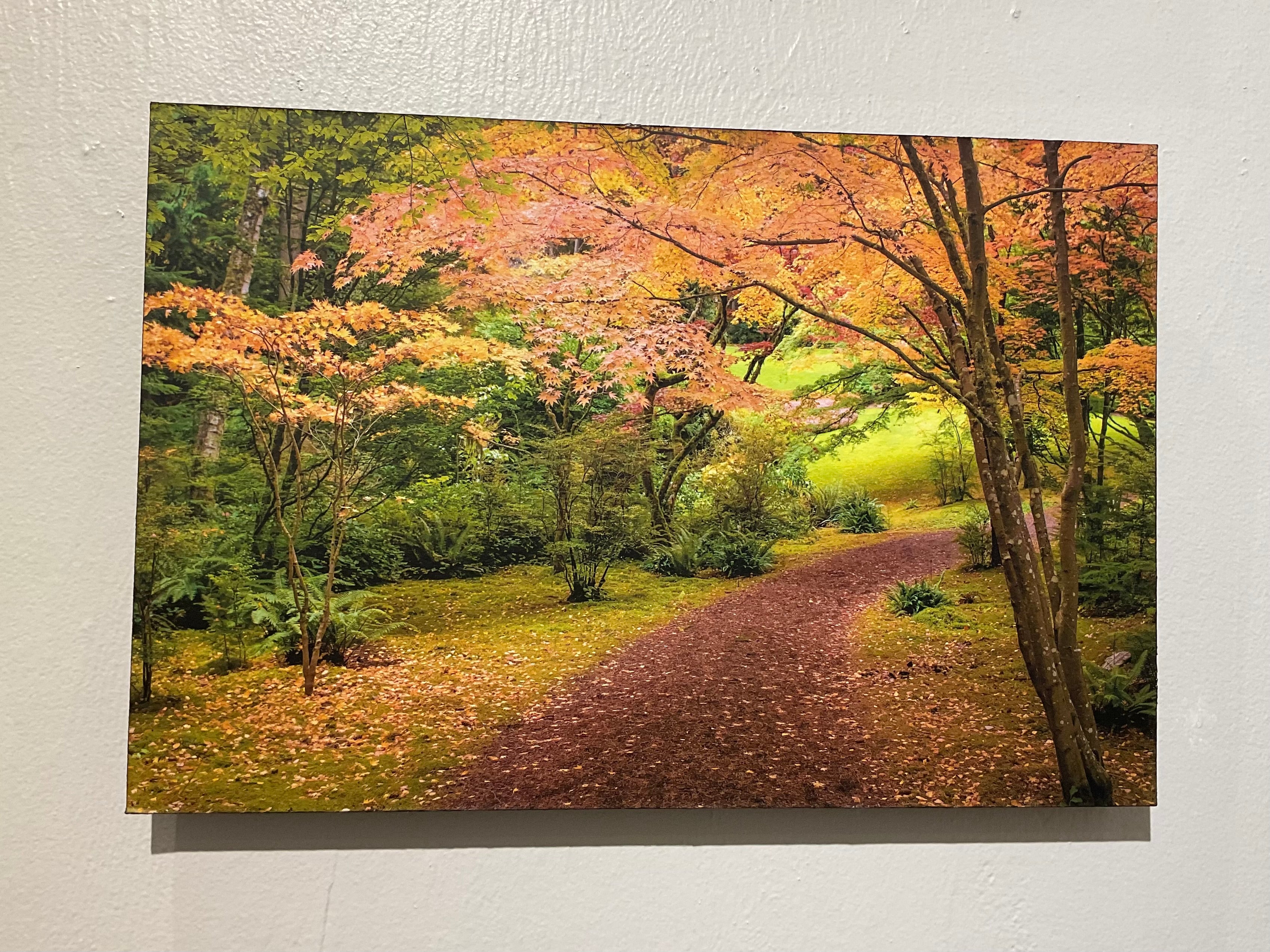 Soft Path by Cliff Crutchfield