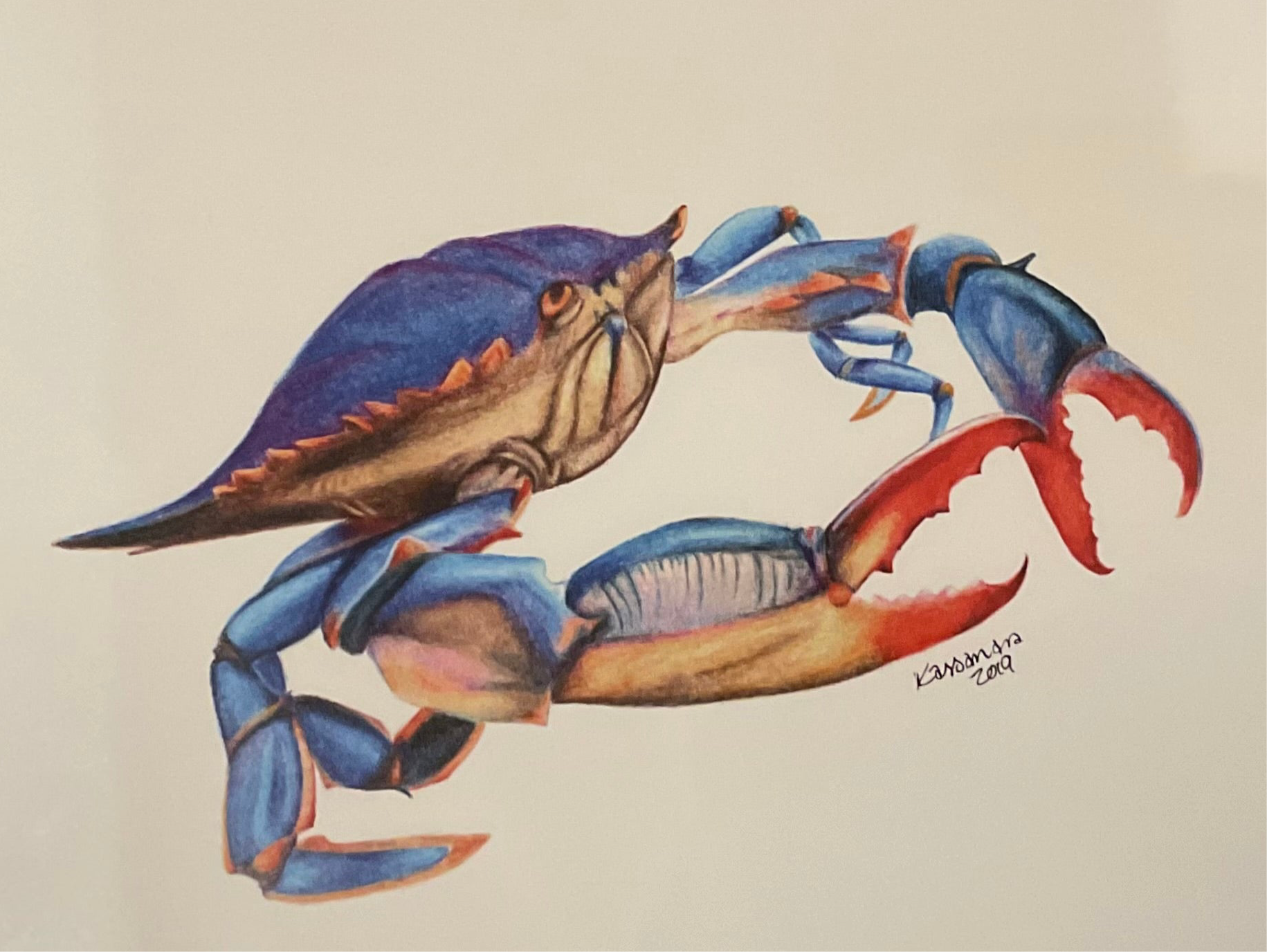 Crab Art Print by Kassie Hogan