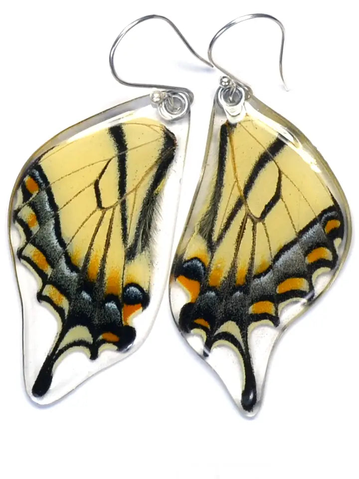 Eastern Tiger Swallowtail Earrings