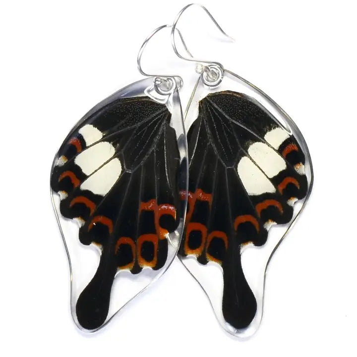 Papilio Helenus Butterfly Earrings