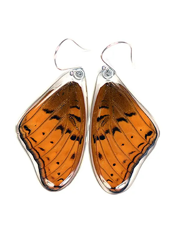 Butterfly Earrings - Cramer's Cruiser