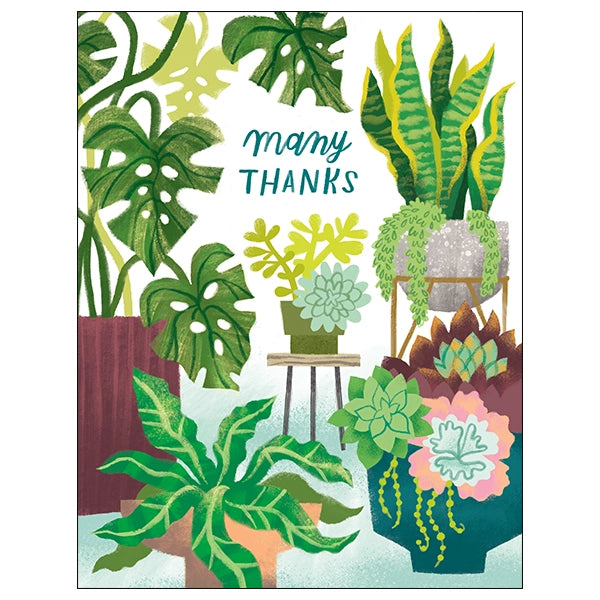 Houseplants Thank You Card