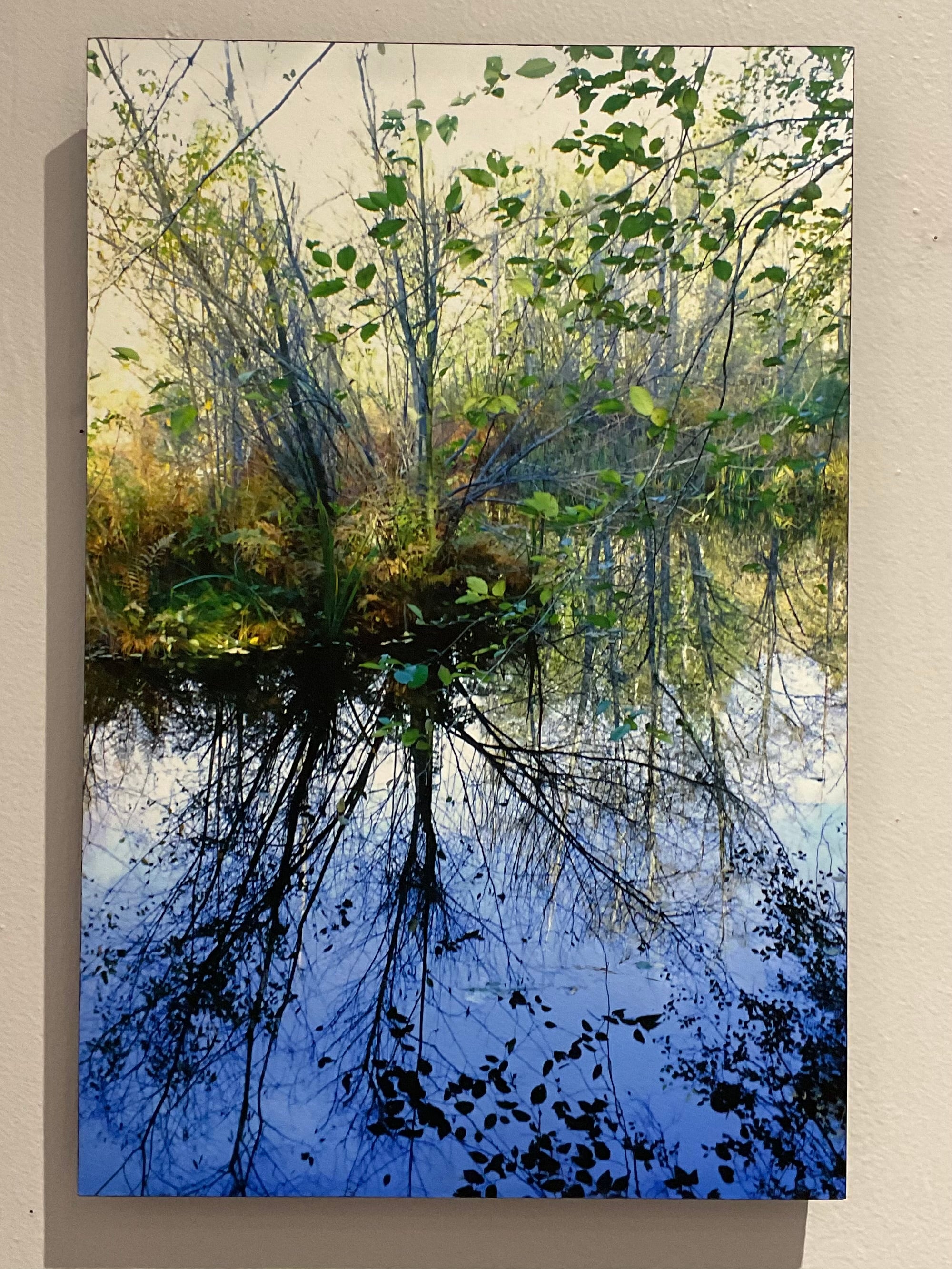 Reflecting by Cliff Crutchfield