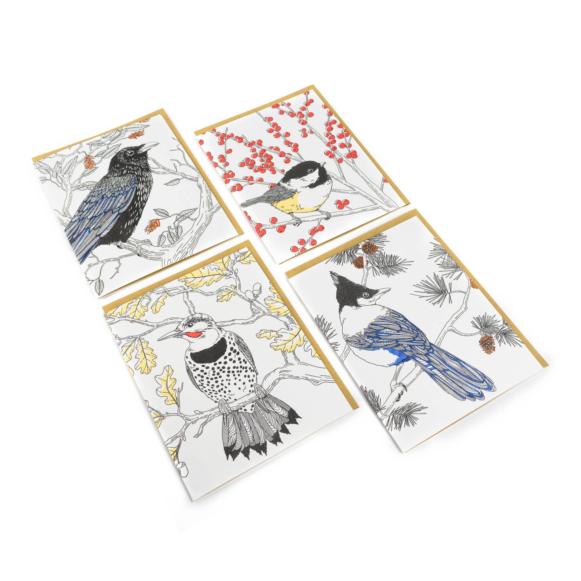 Common Raven Card - West Coast Birds: Single Card