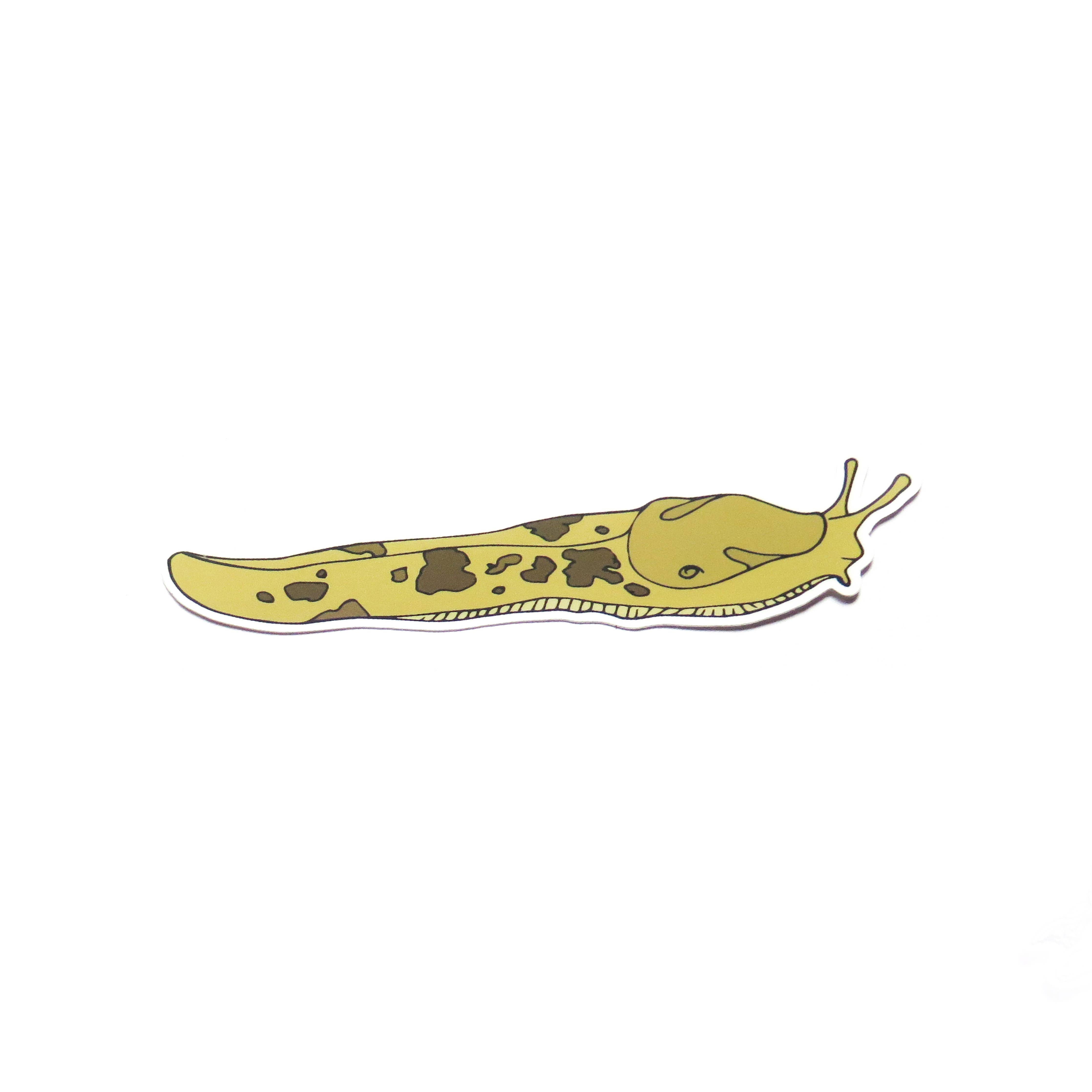 large slug sticker