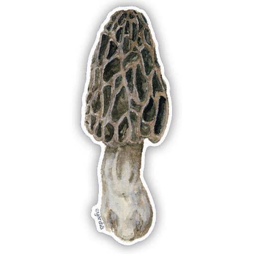 Morel Mushroom Vinyl Sticker