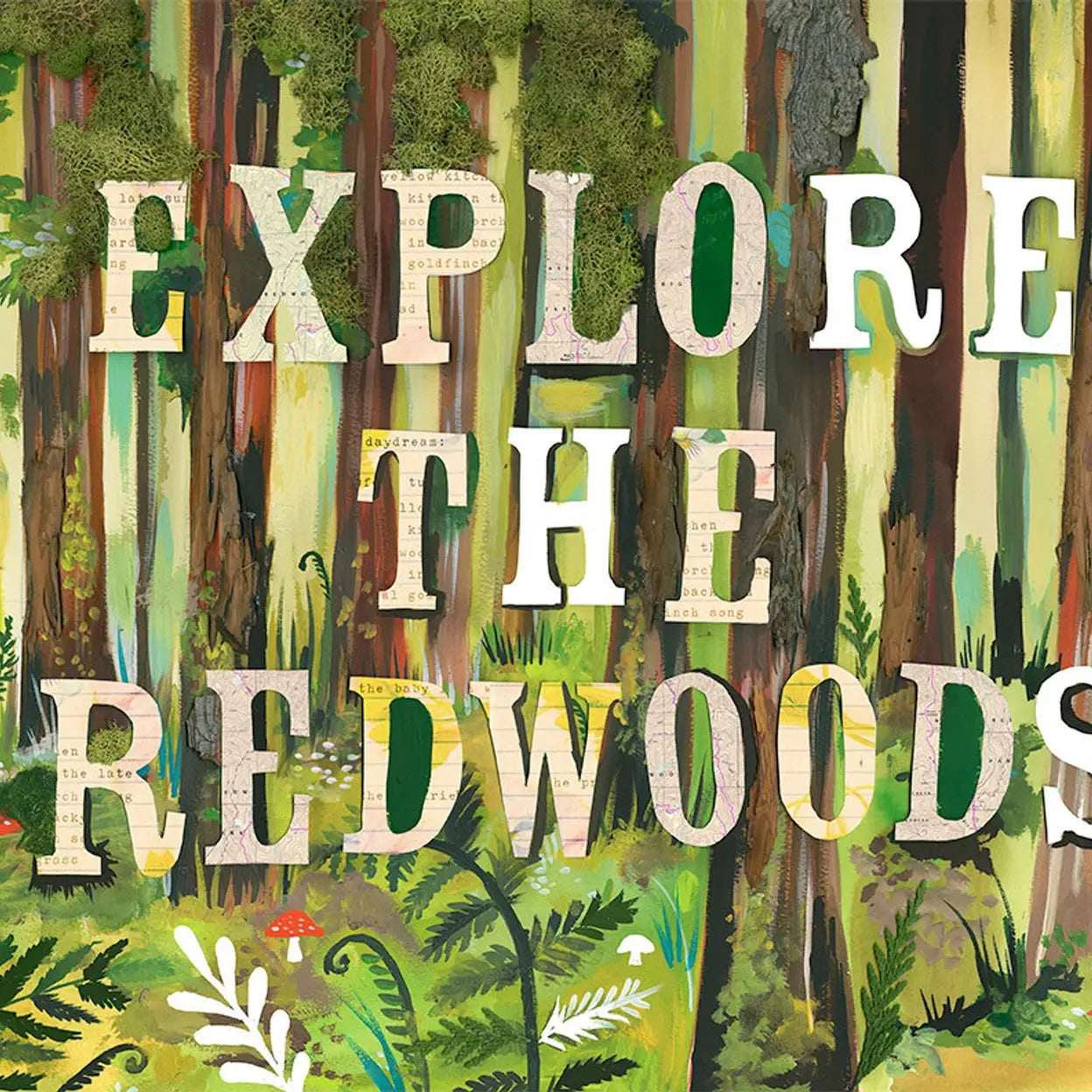 Explore The Woods - Print 8 x 10