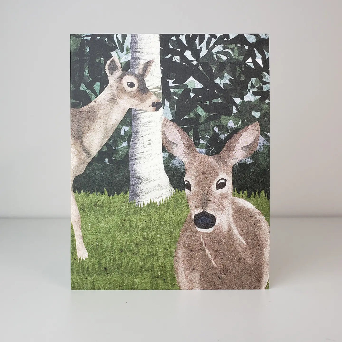 Mule Deer Card by Studio Sardine