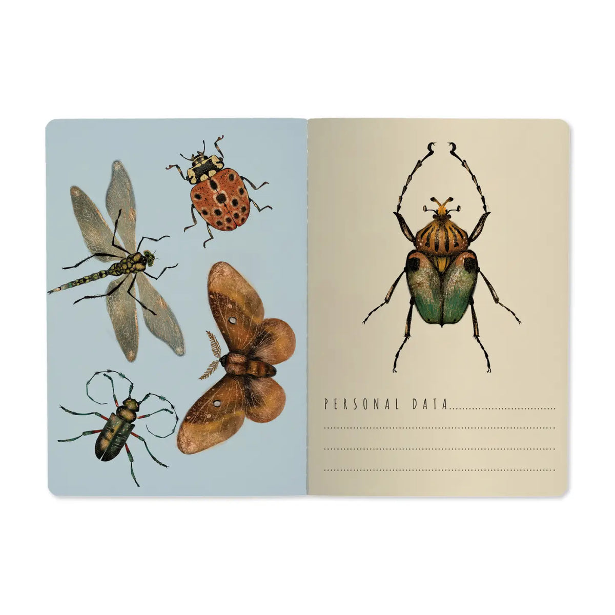 Entomology Notebook