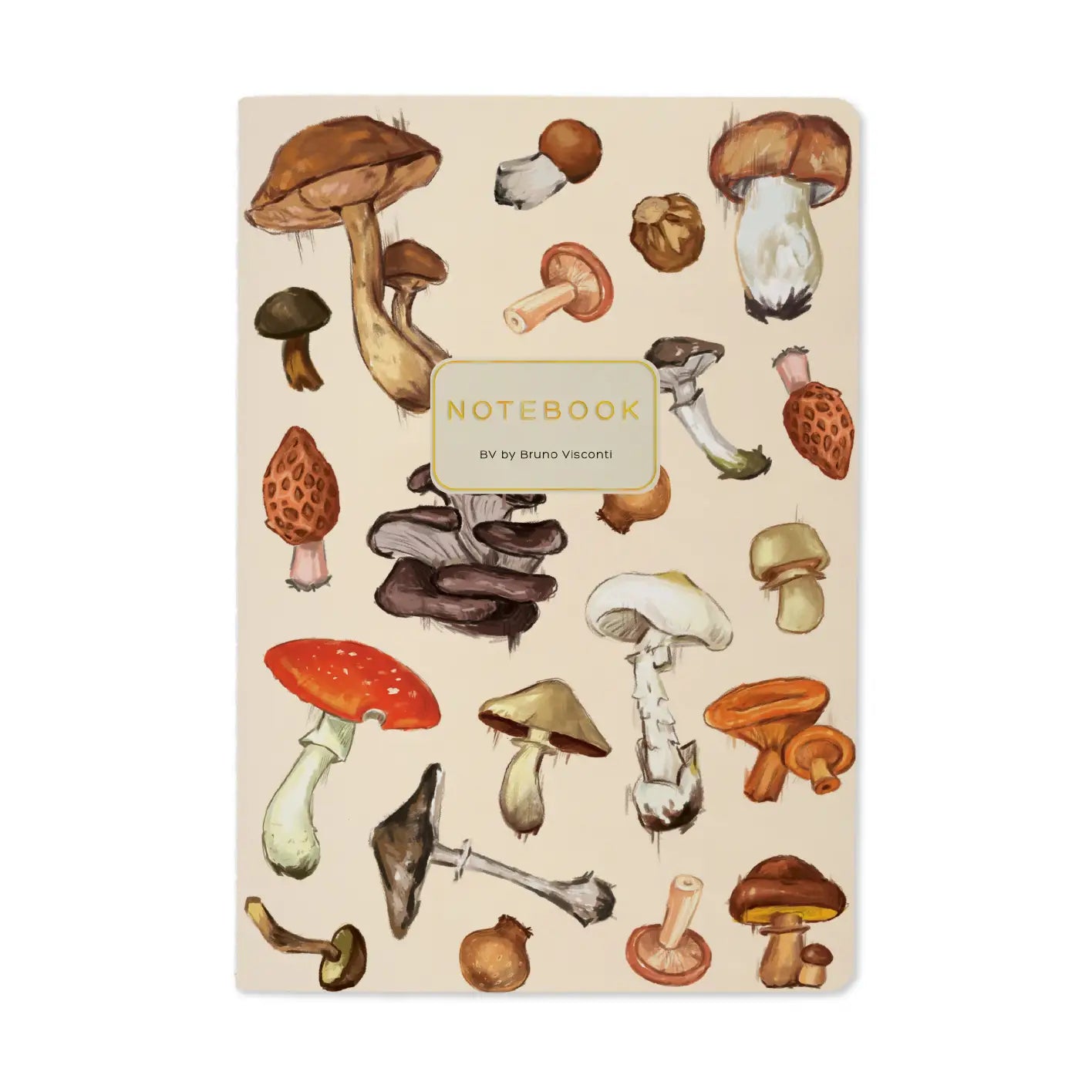 Mushrooms On White
