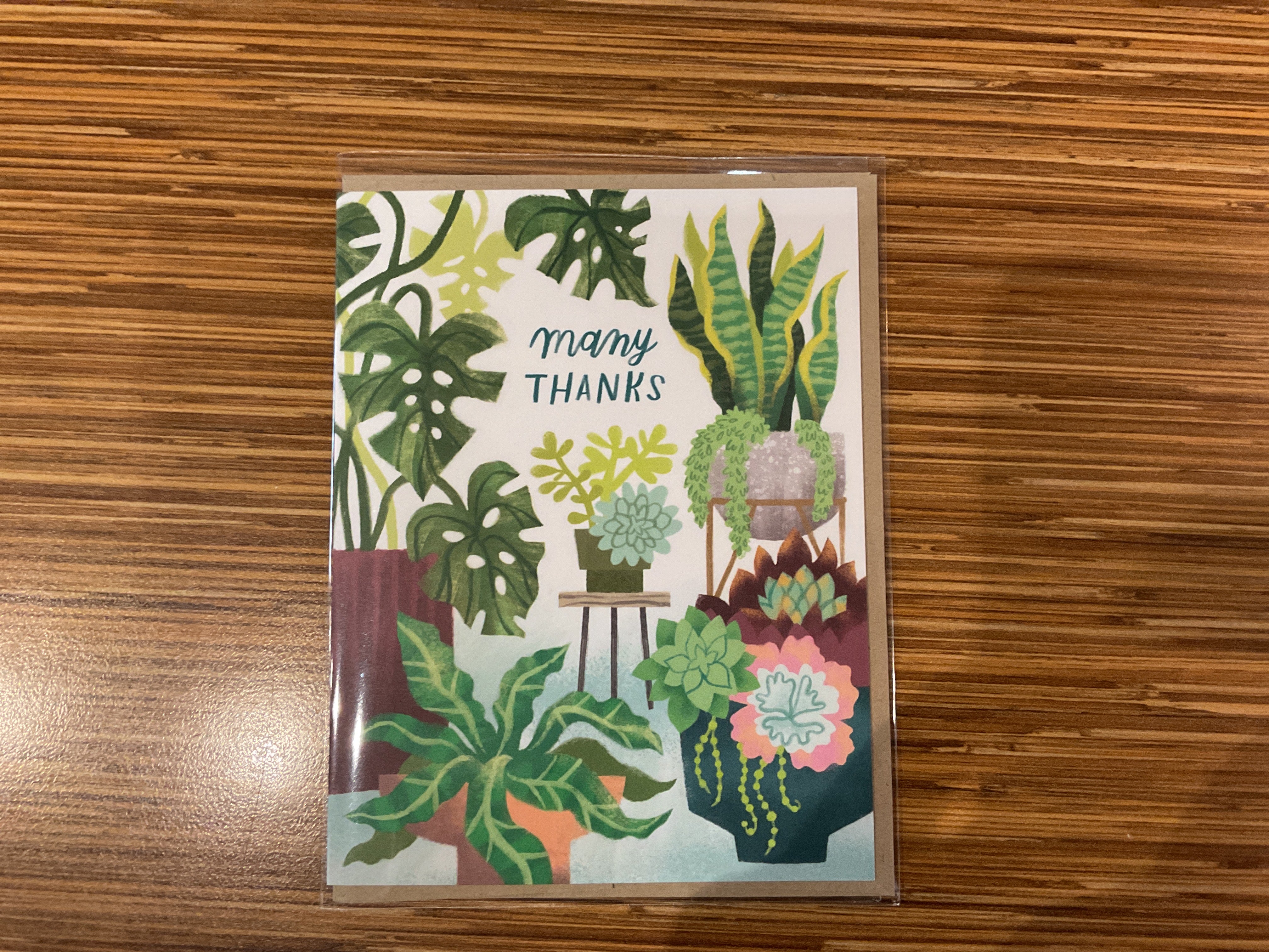 Houseplants Thank You Card