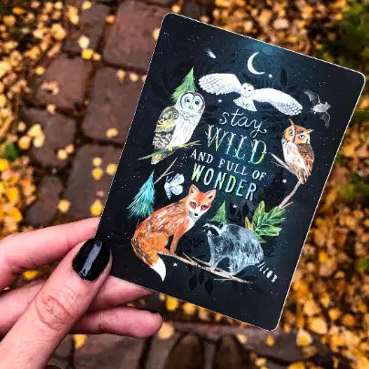 Stay Wild and Full of Wonder- Sticker