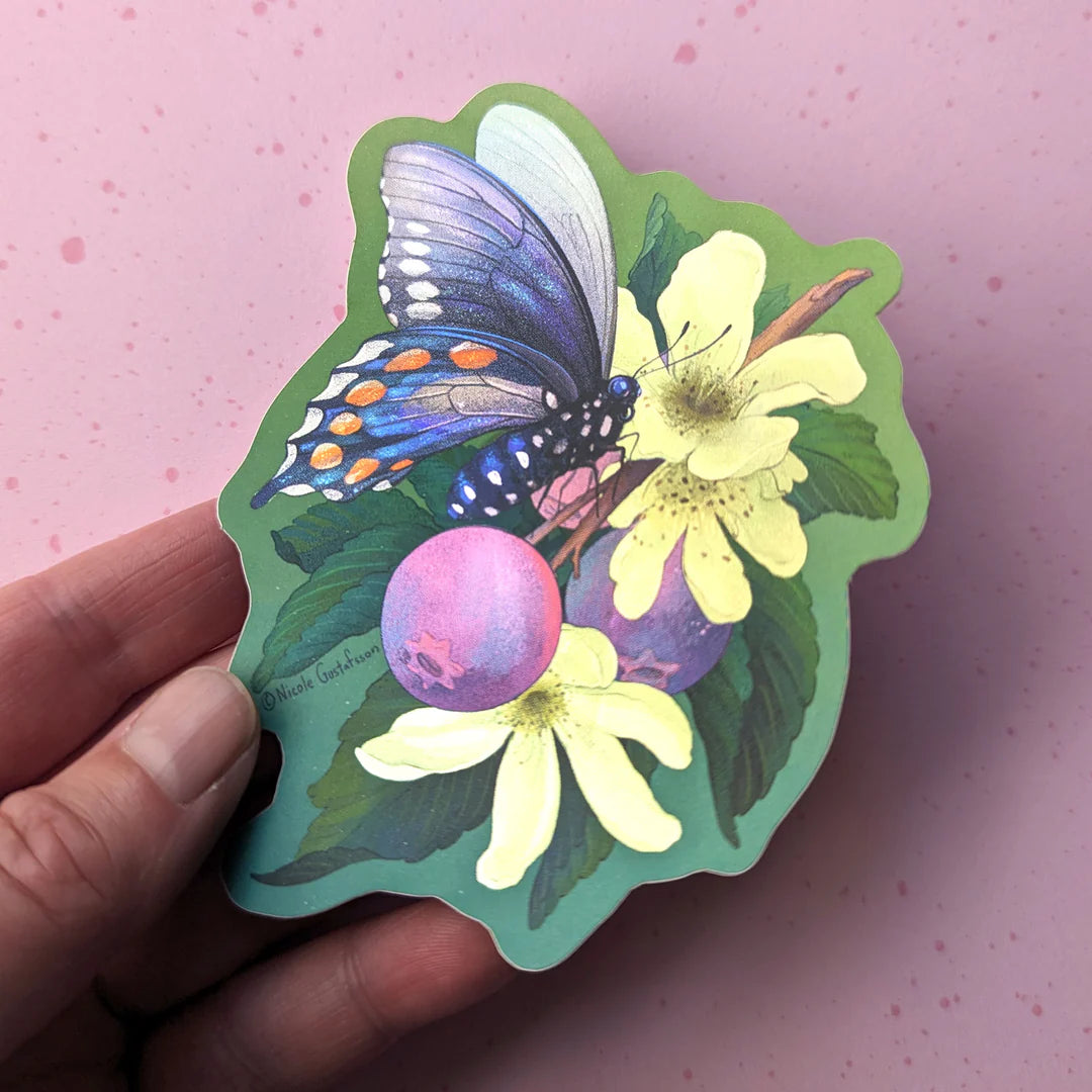 Juneberry butterfly Nimasprout
