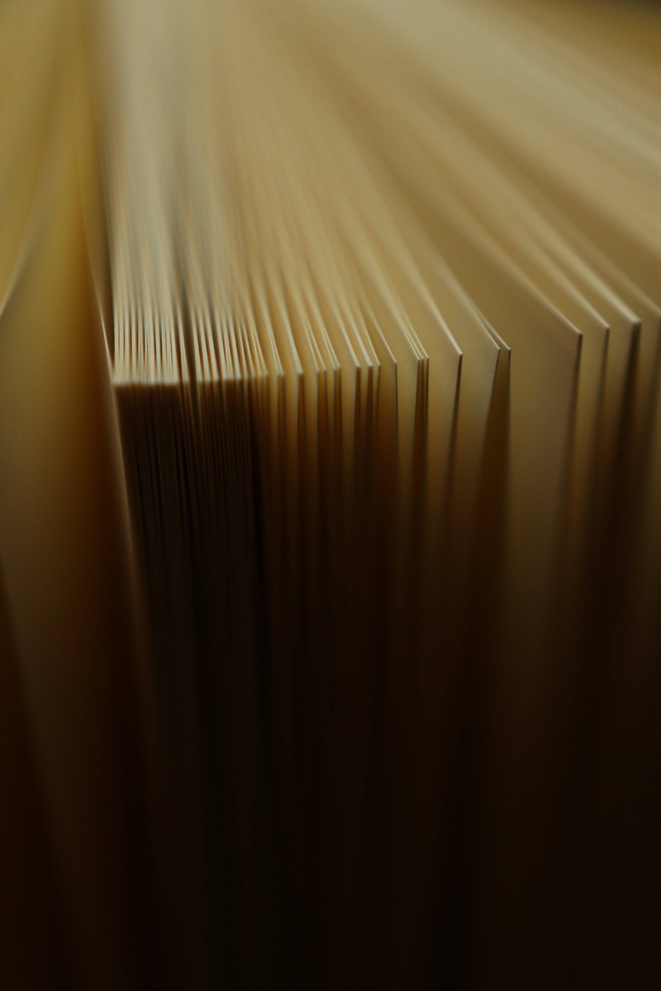 *Burn Book, Mean Girls 2004 Book Journal