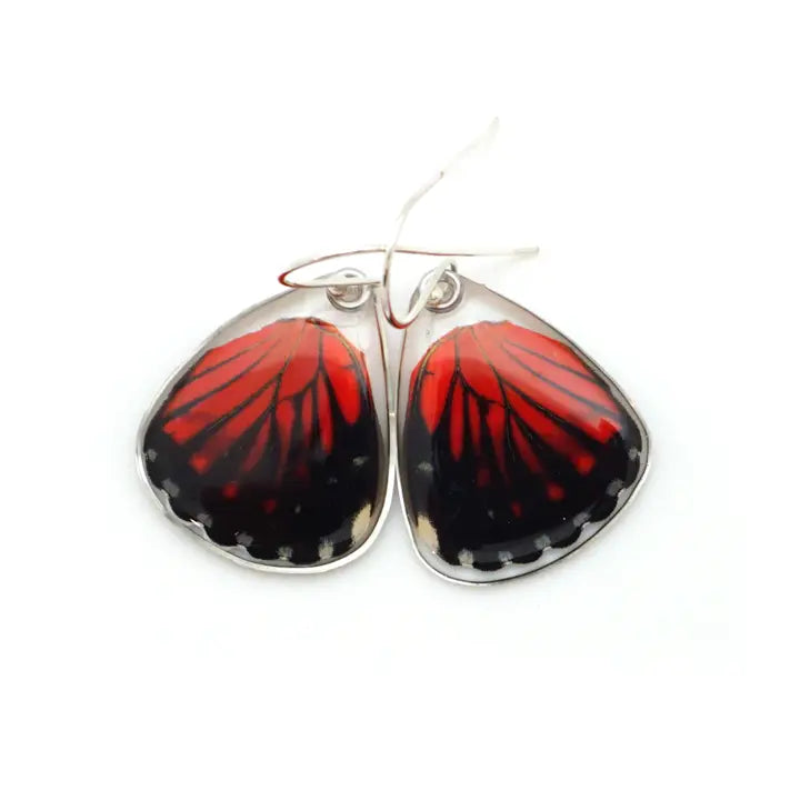 Hamadrys Amphinome Red Cracker Butterfly Earrings