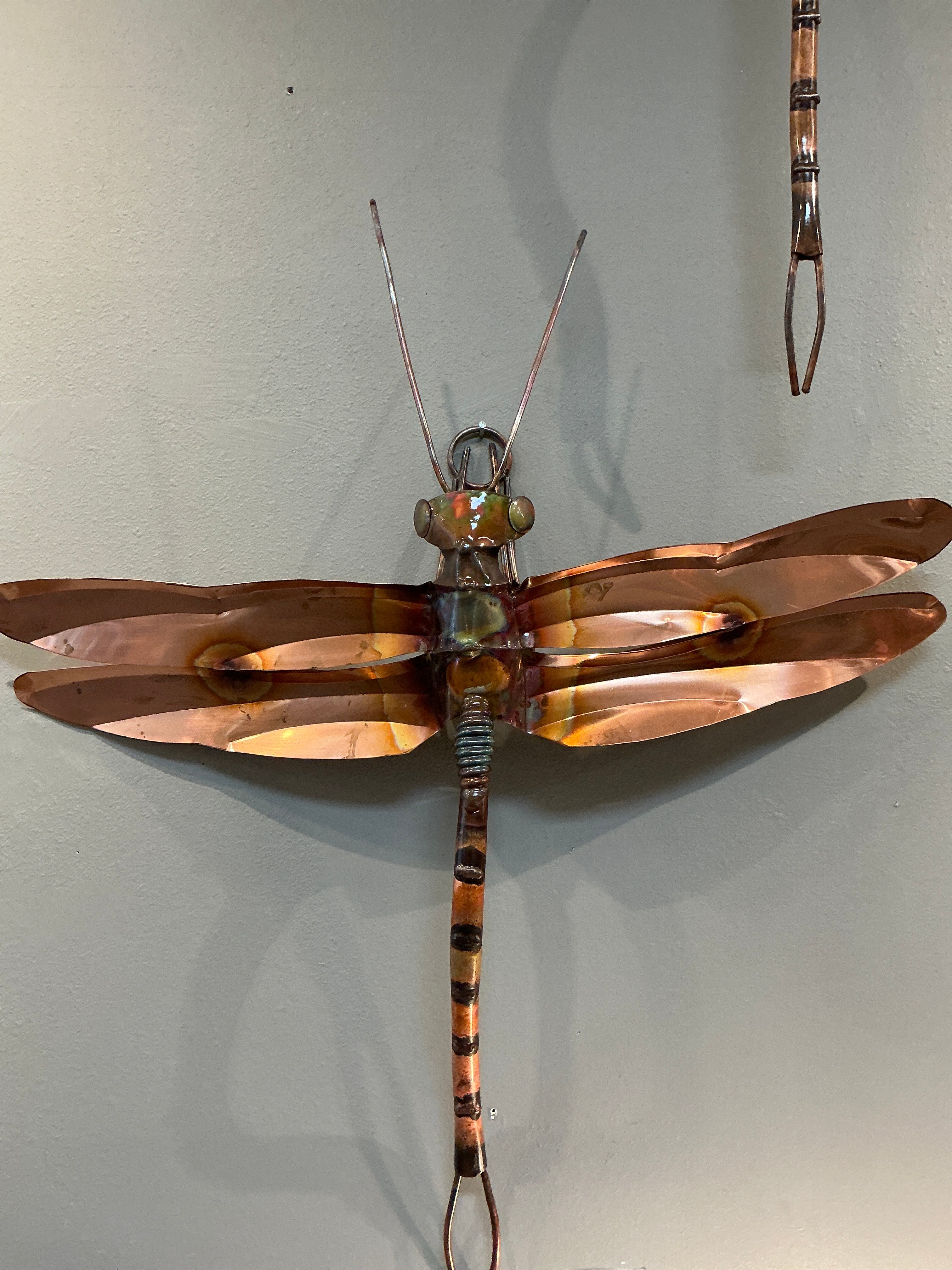 Large Dragonfly by Walter Massey