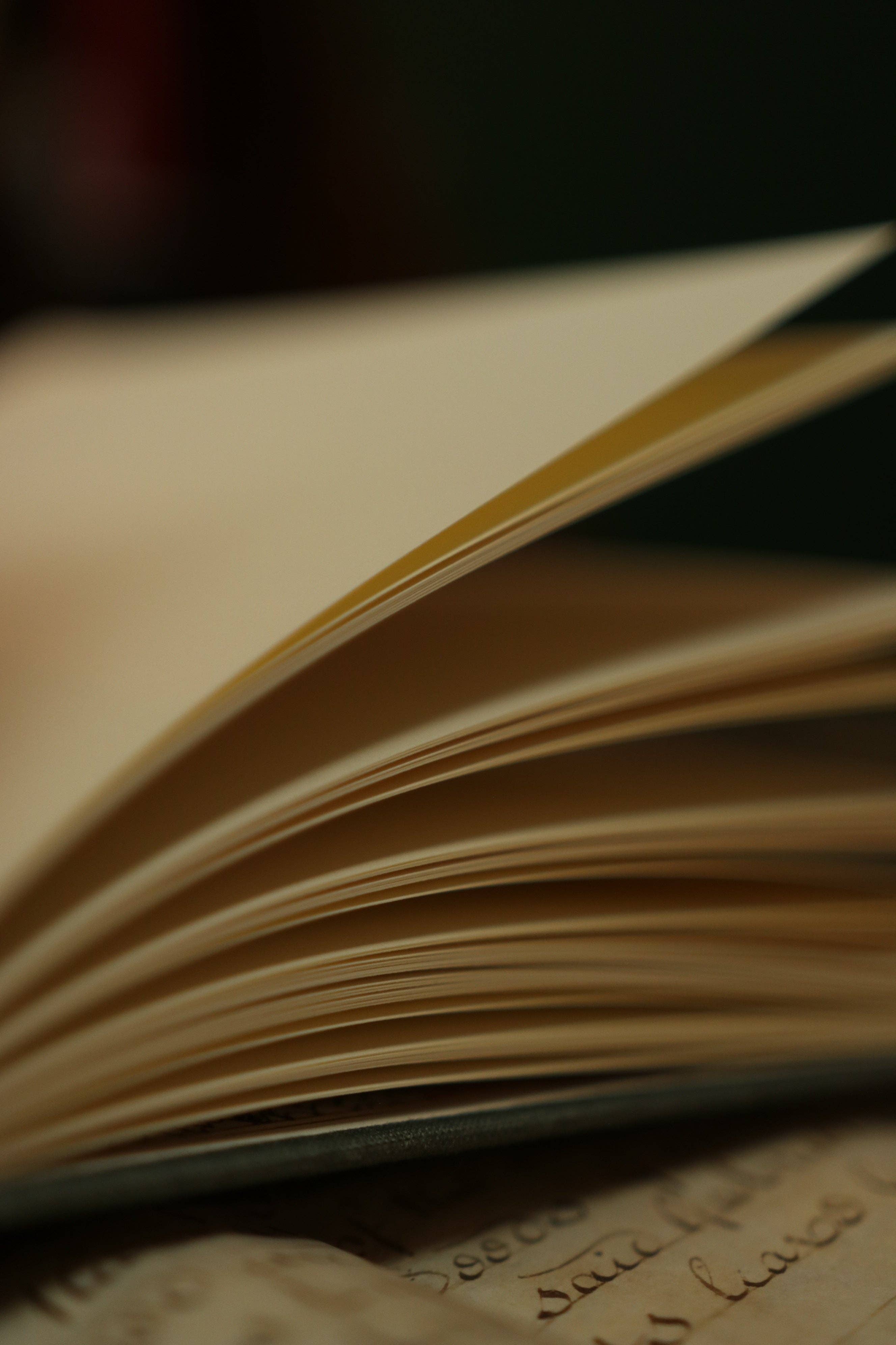 *The Hobbit by J.R.R. Tolkien 1937 Journal (With Dust Jacket)