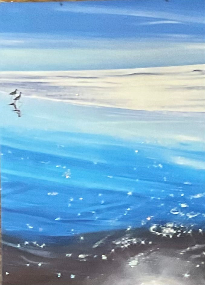 Seagulls on Beach 5x7 Magnet