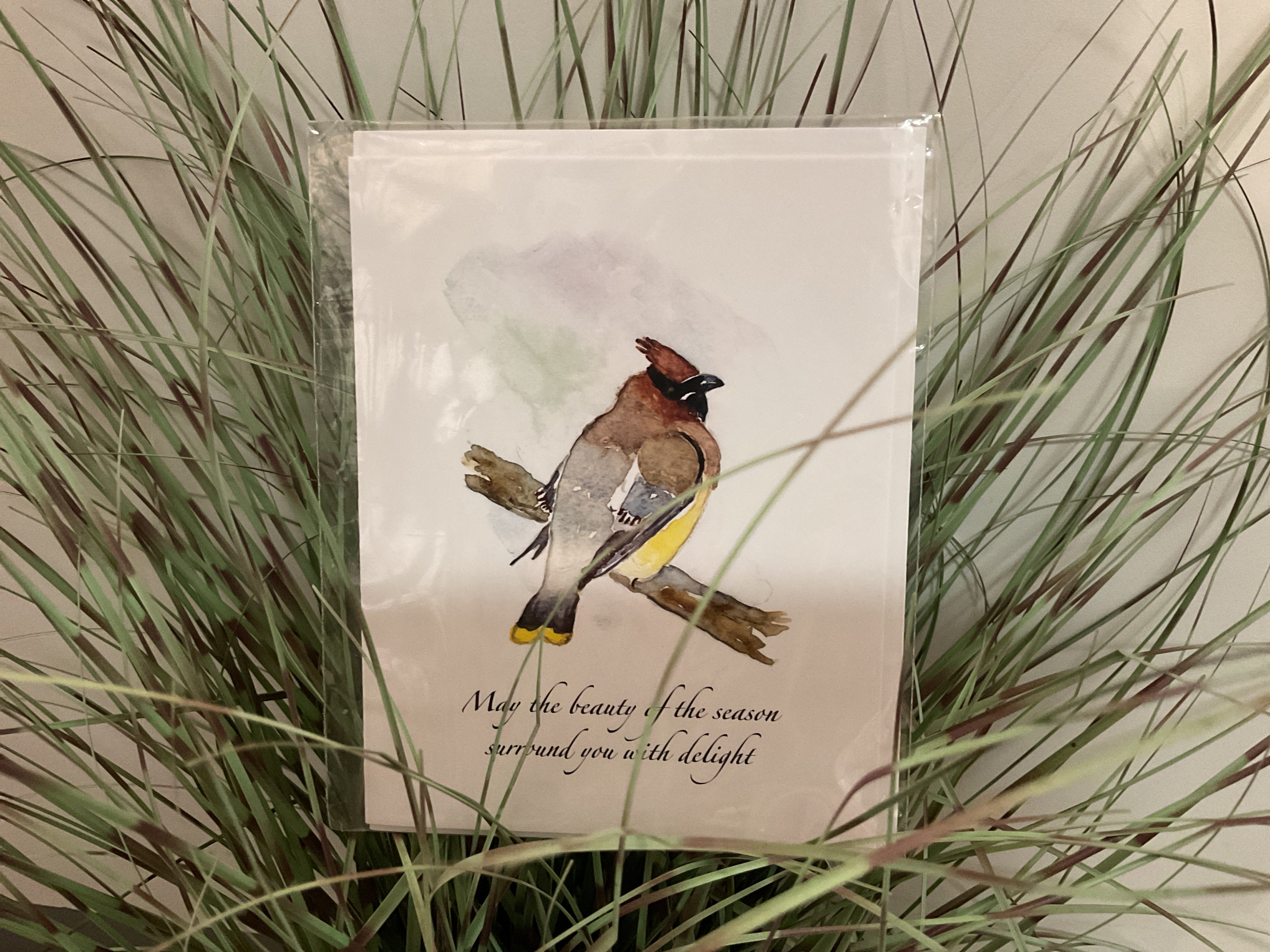 Bird on branch - Judy Friesem