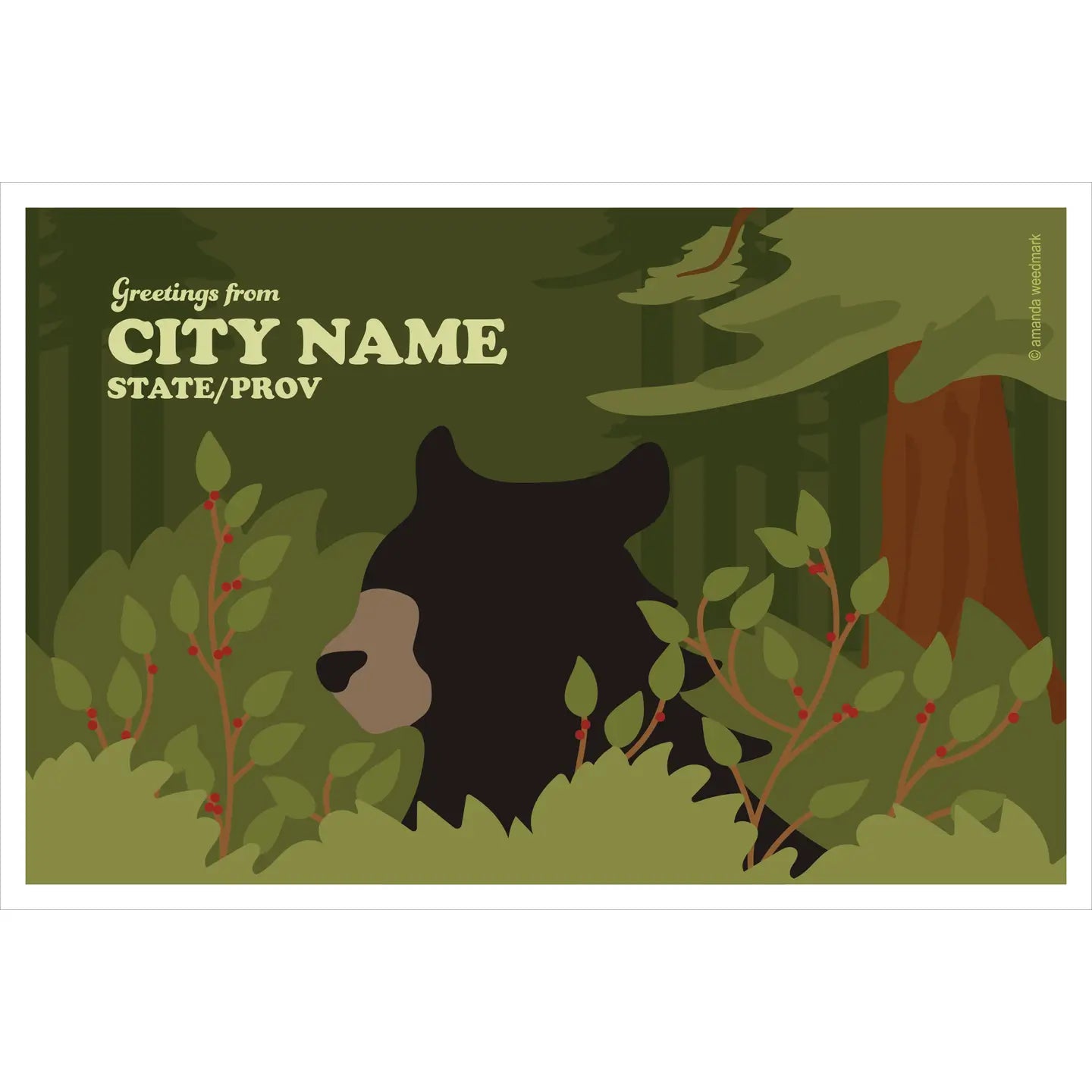 Aw Black Bear Postcard
