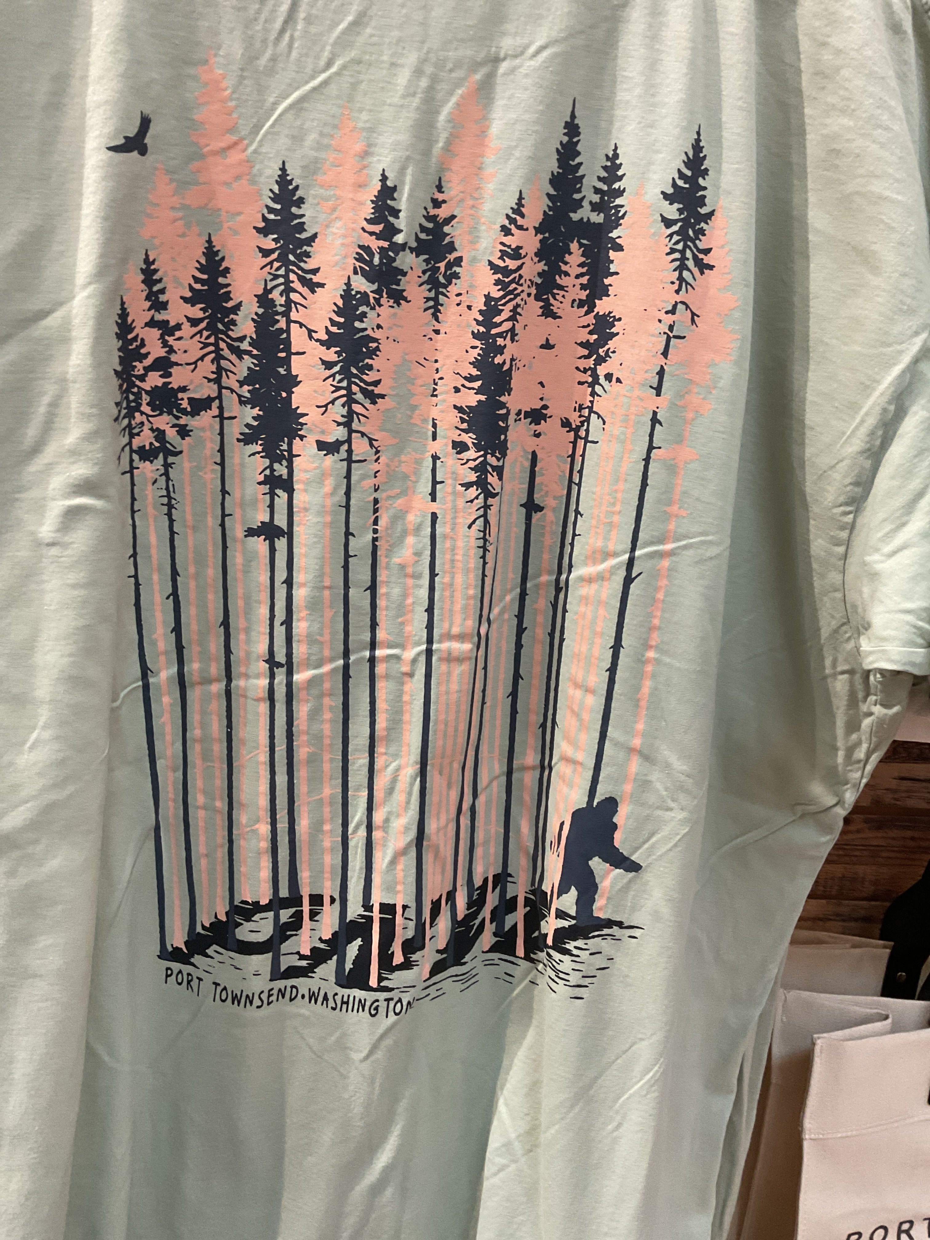Port Townsend PNW Adventure Shirt (Teal)