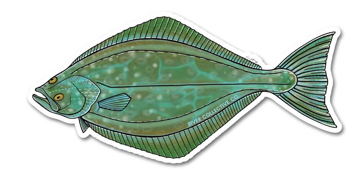 Halibut Decal