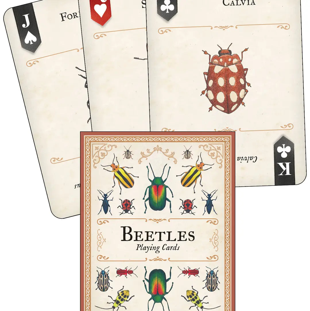 Beetles Playing Cards