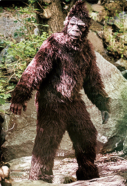 Bigfoot Postcard