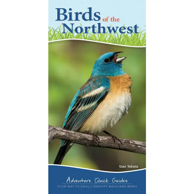 Birds of Northwest Quick Guide