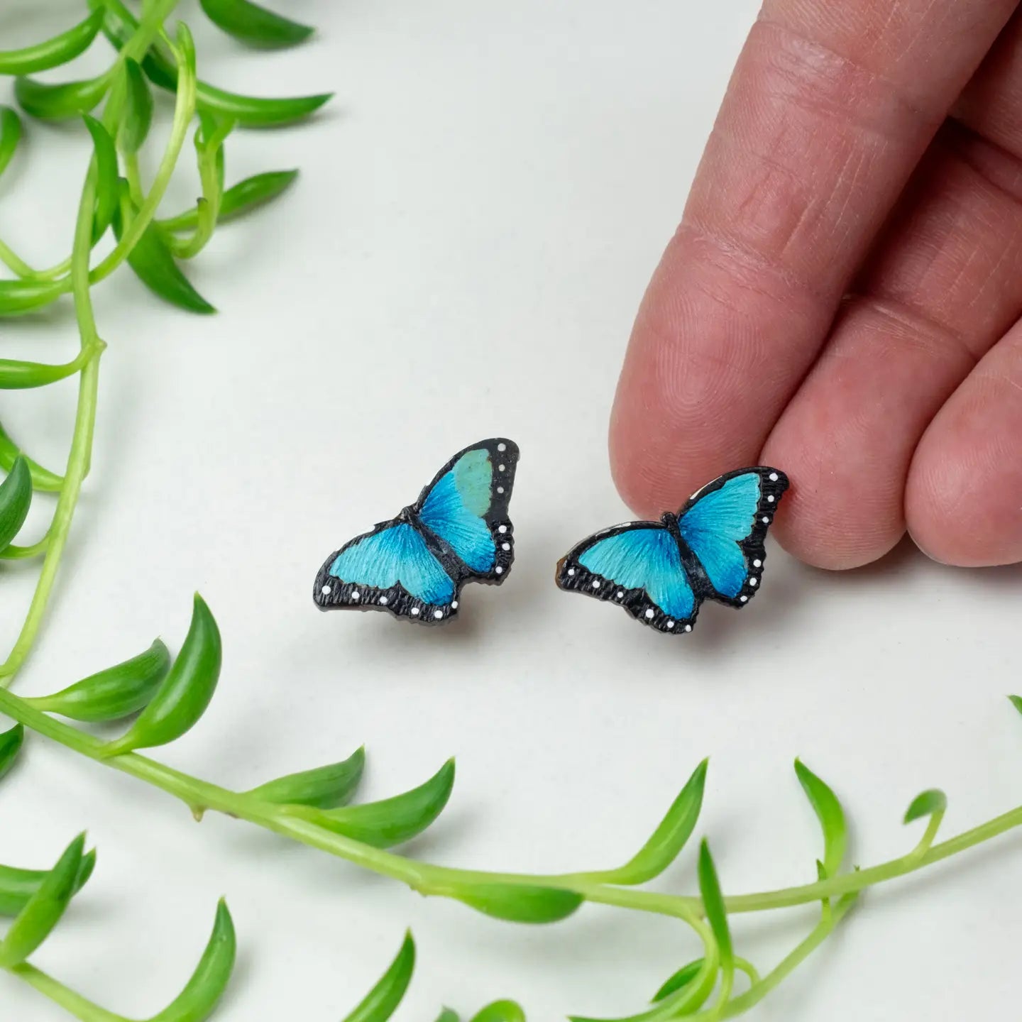 Butterfly Earrings - Blue Morpho