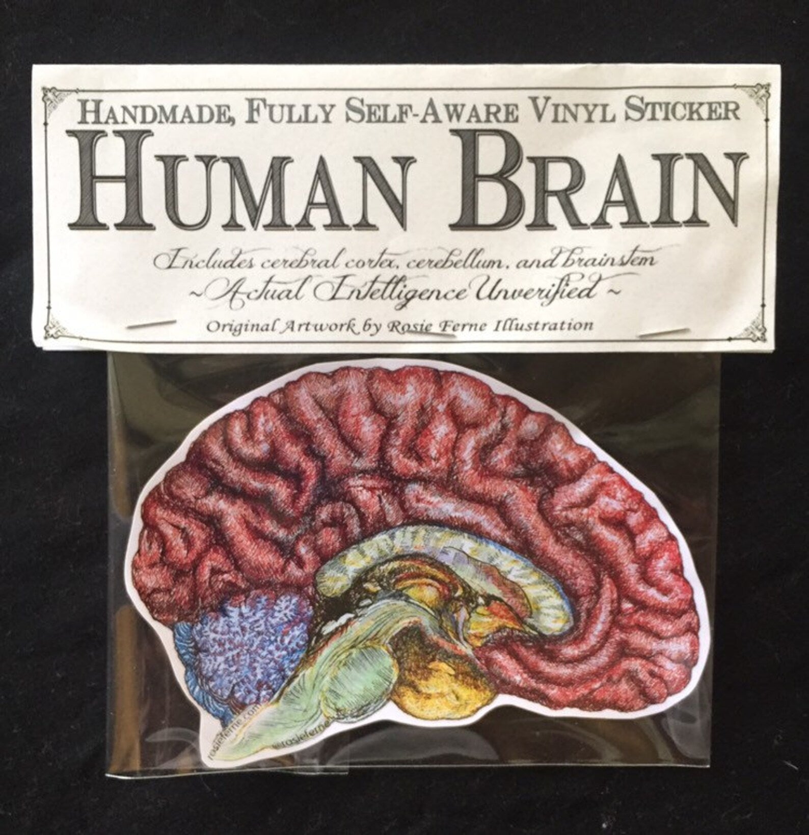 Brain Sticker