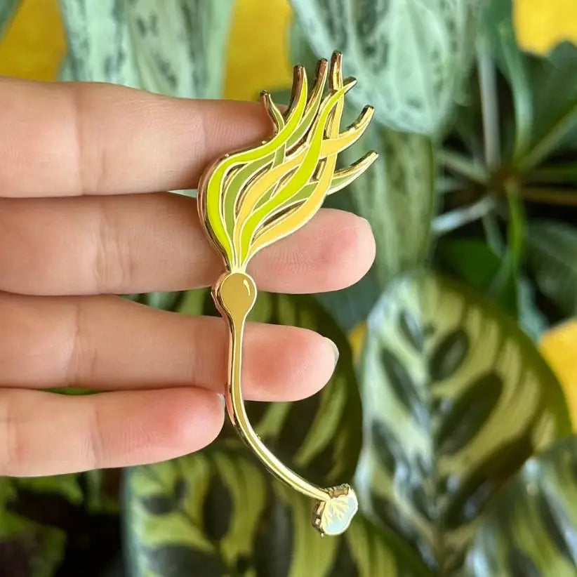 Bull Kelp Seaweed Enamel Pin