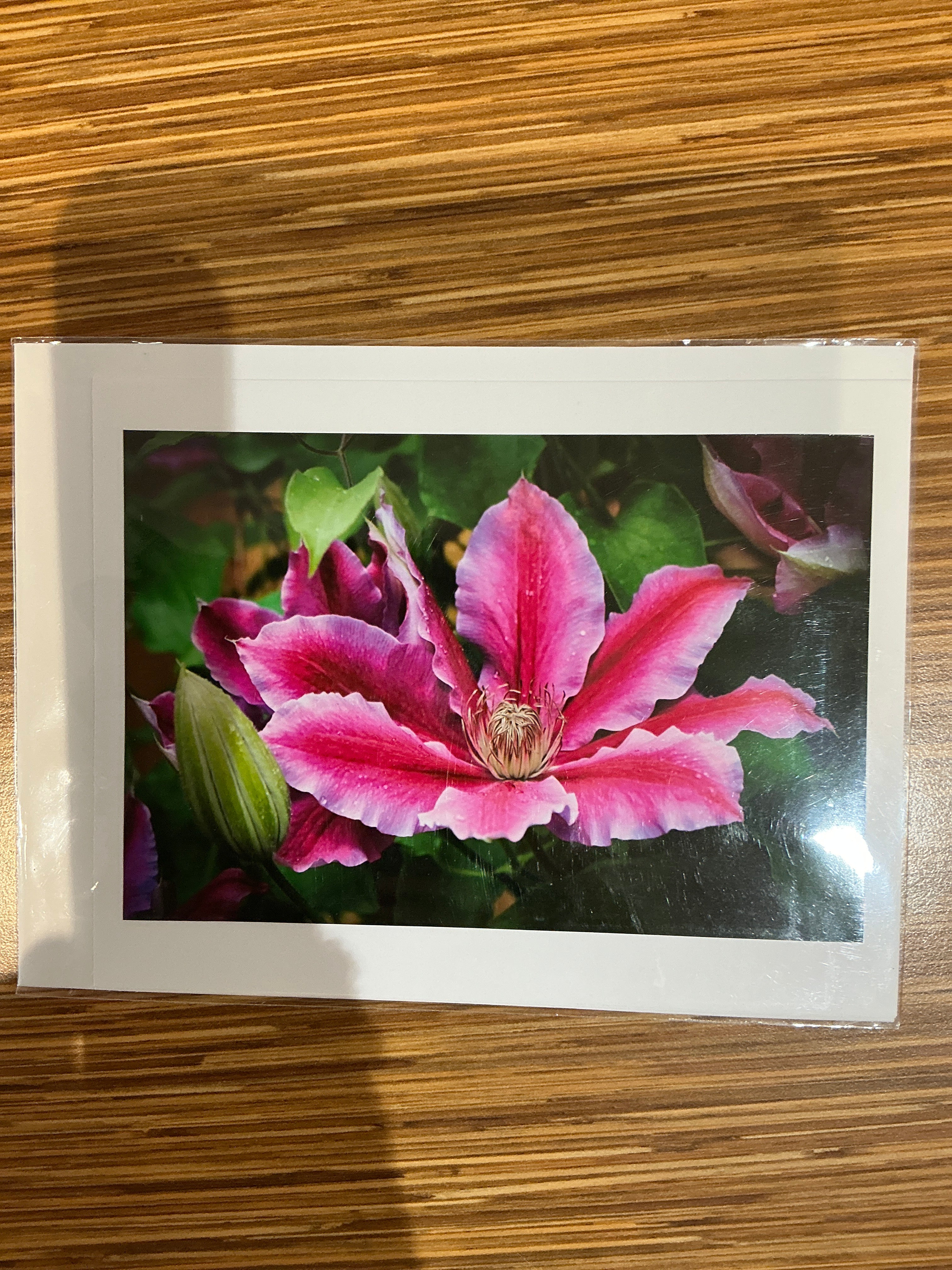 Clematis Flower Card