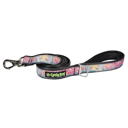 Dog Leash