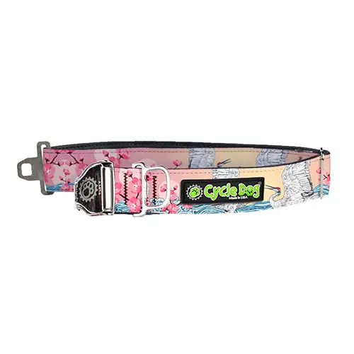 Dog Collar