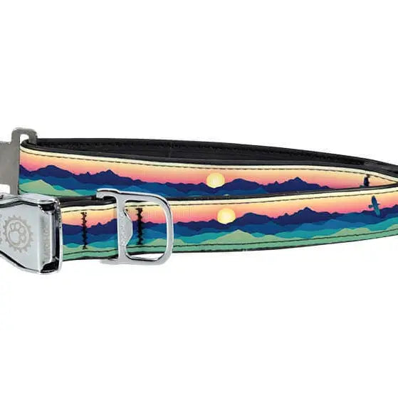 Dog Collar
