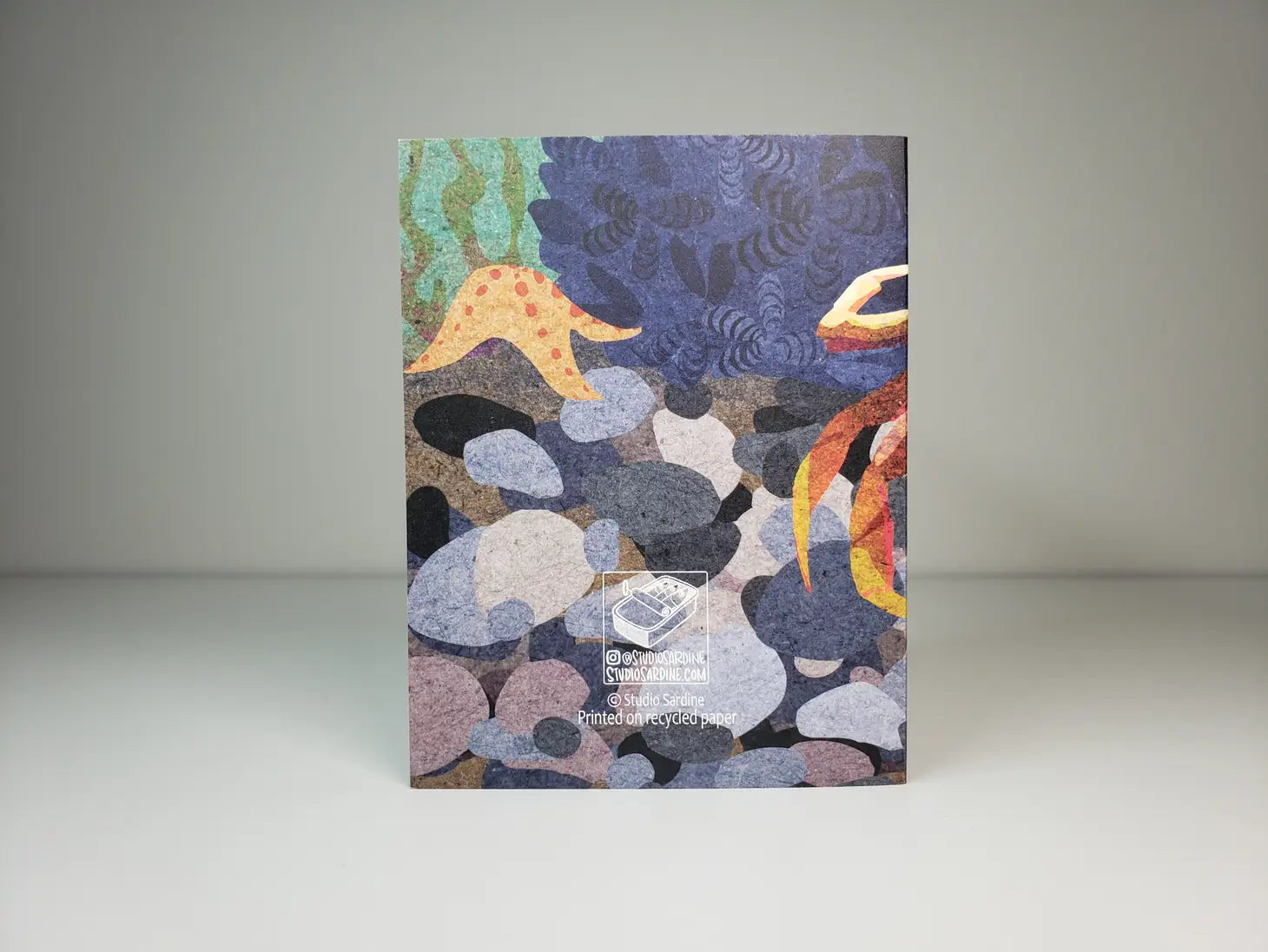 Dungeness Blank Greeting Card