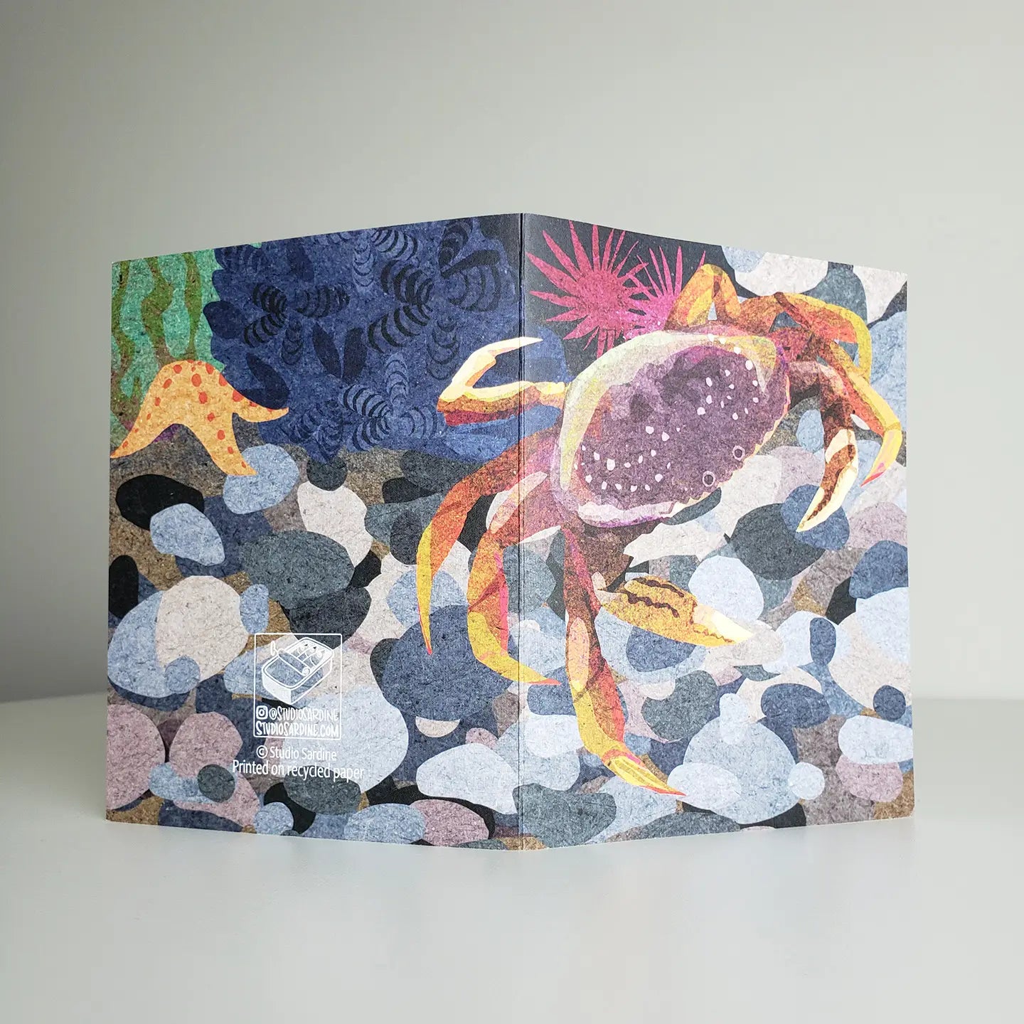 Dungeness Blank Greeting Card