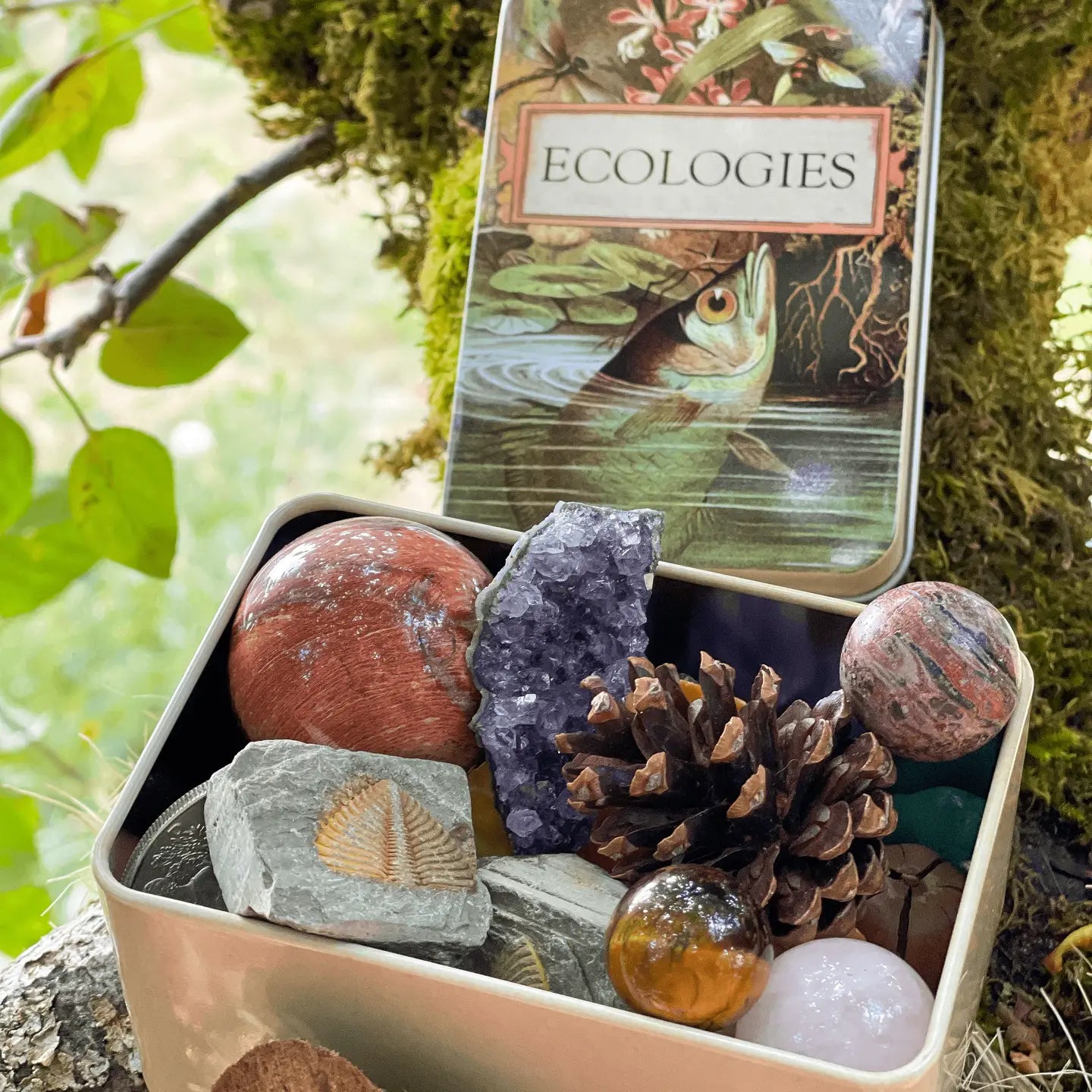 Ecologies Card Game Metal Tin - Archerfish Image