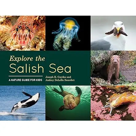 Explore the Salish Sea: A Nature Guide For Kids