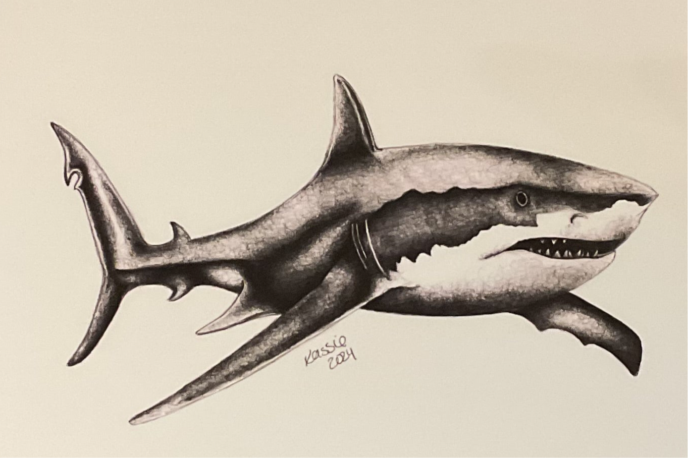 Great White Art Print by Kassie Hogan