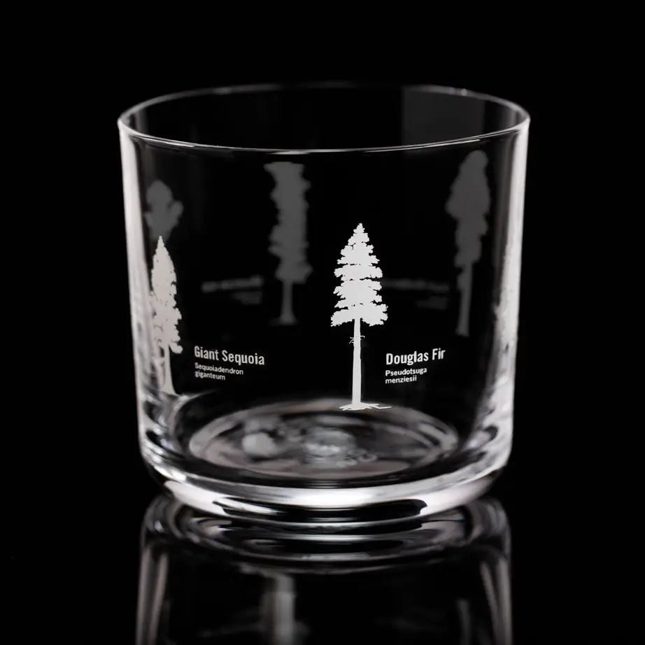 Forest Giants Whiskey Glass Gold Foil