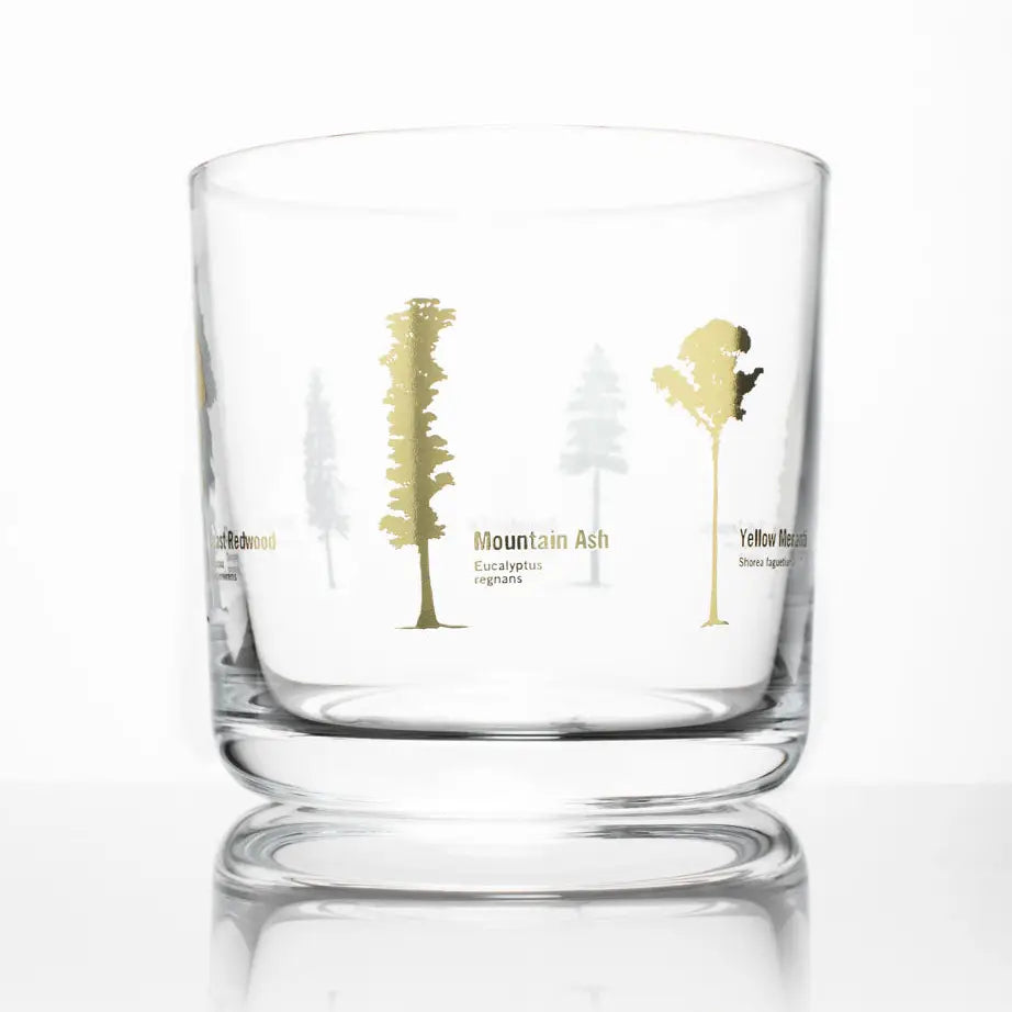Forest Giants Whiskey Glass Gold Foil