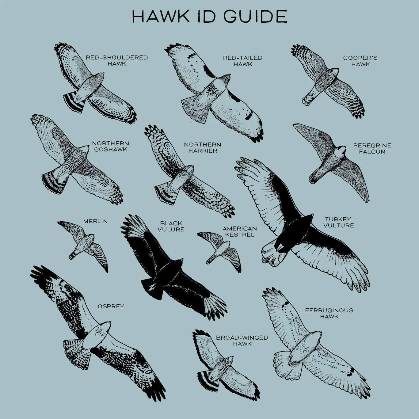 Hawks in Flight Nalgene Water Bottle | Seafoam
