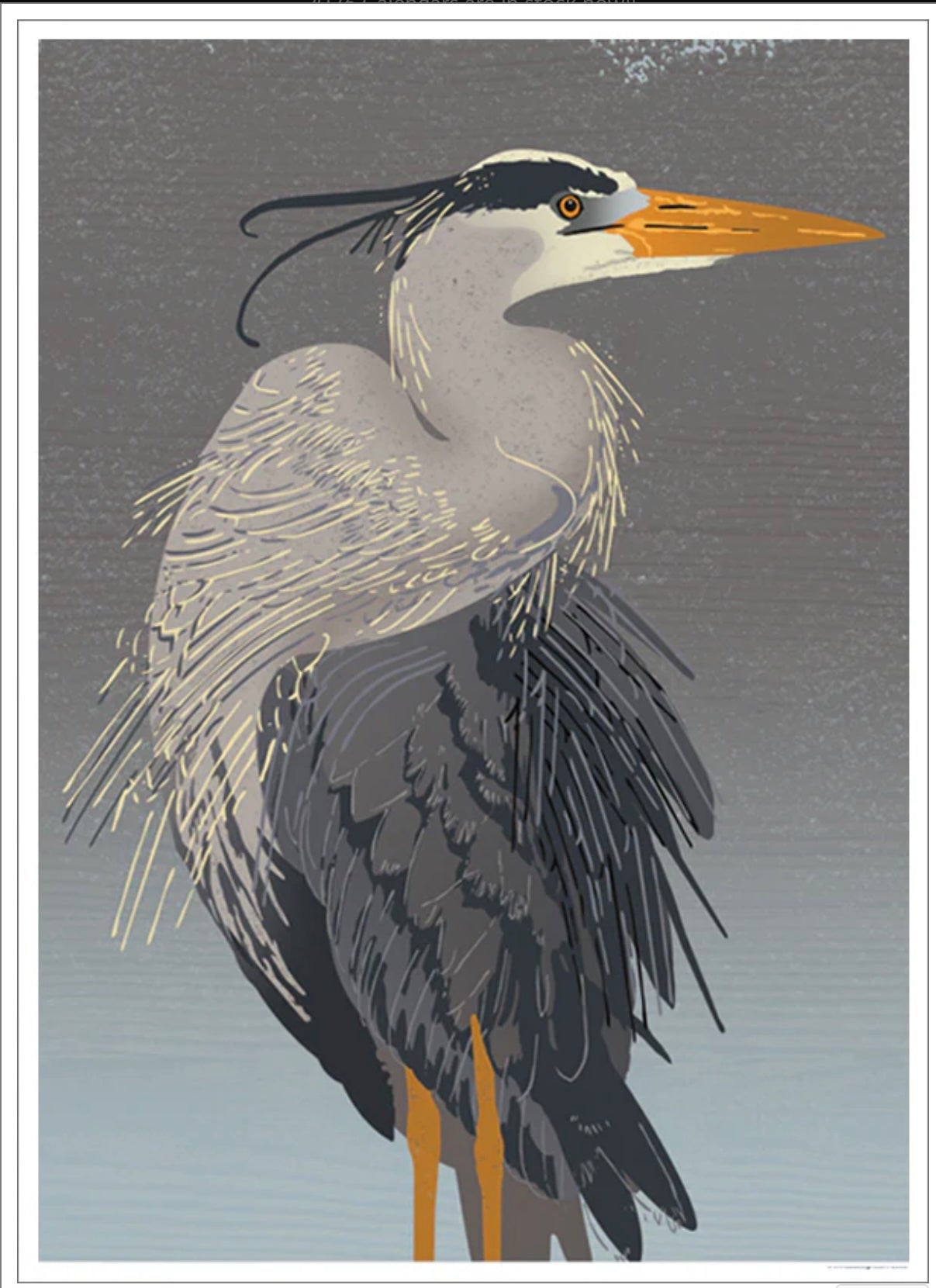 Heron Art Print
